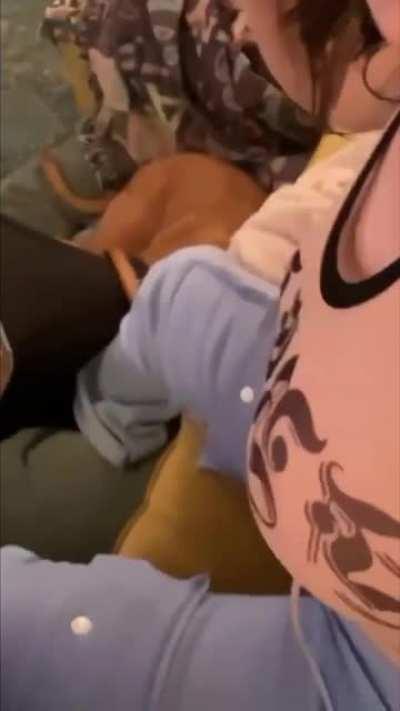 Would you slap them?