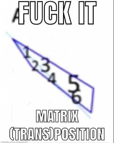 Math said trans rights :0