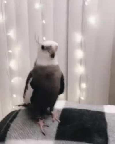 Peekaboo! Sometimes the most delightful things in life are right in front of you