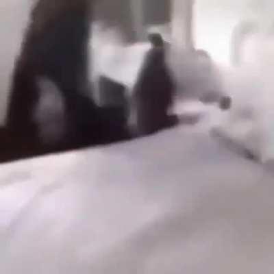 Gayreeks in 1453 (Earrape)