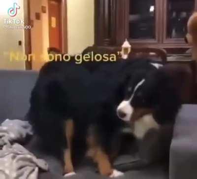 Hey man, is your girlfriend jealous? Well...