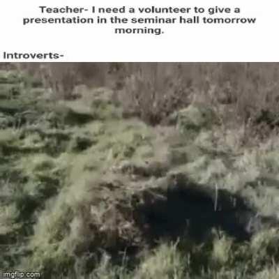 I have some important work to do.