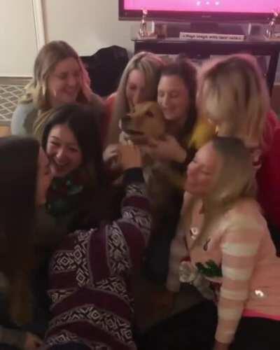 Yazacak bişey bulamadım.