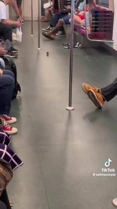 Ratatouille takes MRT go home