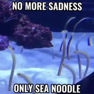 Depression weak, Sea Noodle strong
