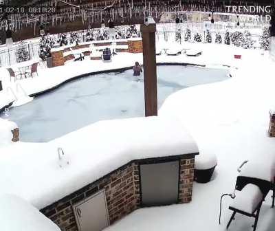 Woman rescue a dog which fell into pool and got trapped under ice.