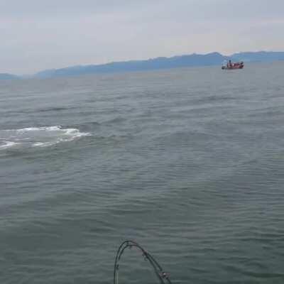 Fishing off of Vancouver Island when all of a sudden...