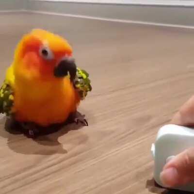 Parrot.AppropriateReaction cannot be found