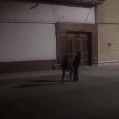 A teen kicked an elderly man in the head for tiktok views.