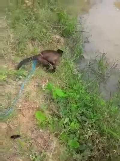 oriloki aprendendo a pescar🥰🥰🥰