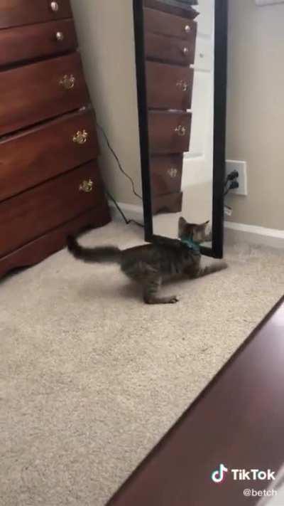 Whatthefuckisthatfuckinthing