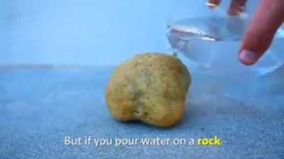 this is a rock