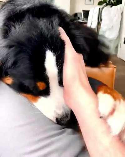 Ella Fetchgerald requesting head scratchies