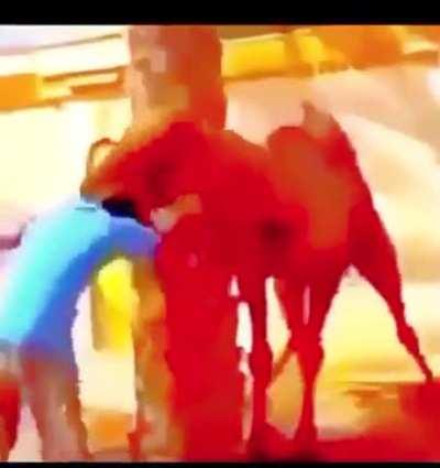 Hmmm bolo de murango