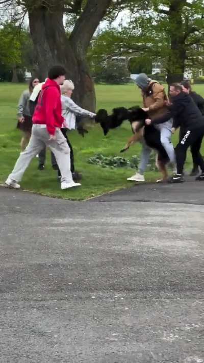 The way they slid in