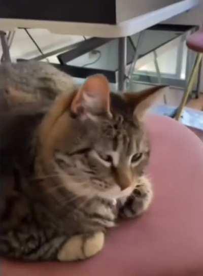 Little guy is a bit lost