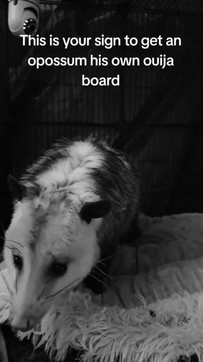 Clyde & his ouja board 🖤