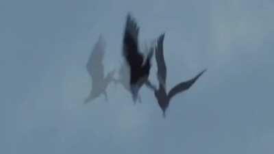 These drones' controllers disconnect mid-flight, sending them into a free fall