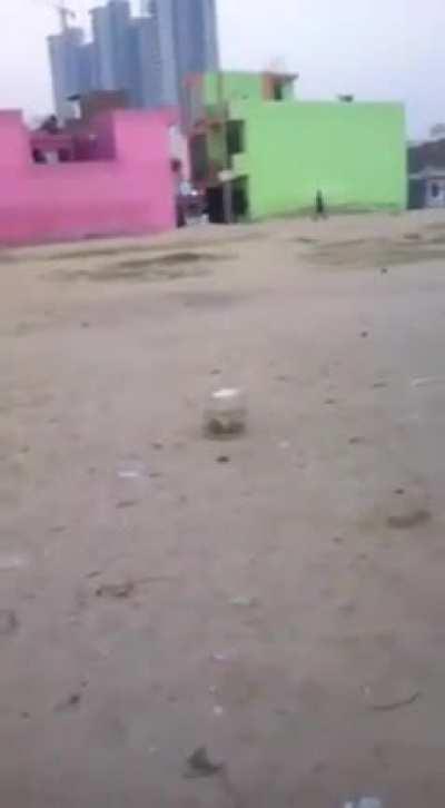 Looks like a nice spot to piss