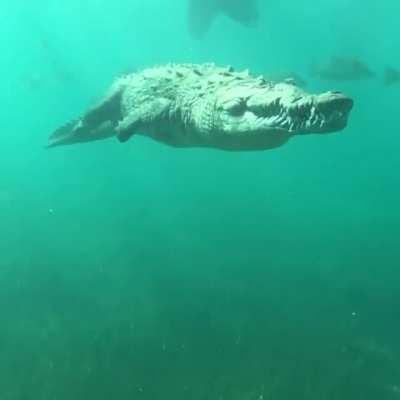 The Subreddit is Fully Open and Cruising Along Again