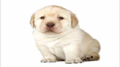 idk if this has already been done but here it is