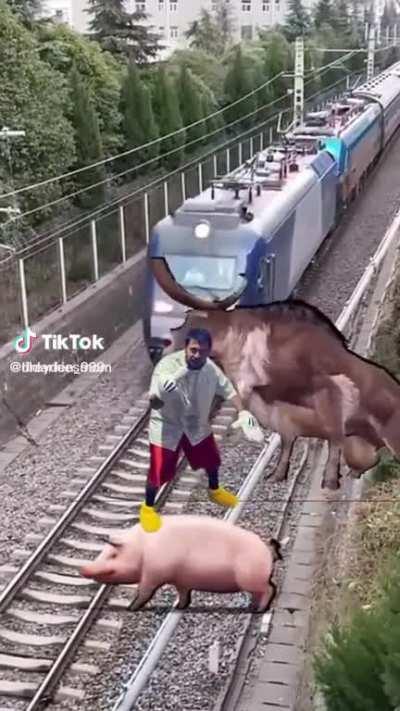 something I found on tiktok