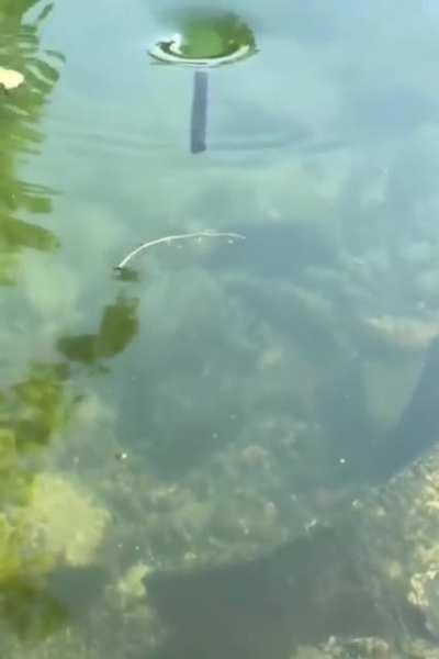 My stick people need me