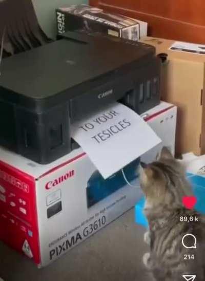 he's not gonna have a nice day