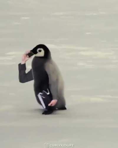 Thanks, I love birds with arms