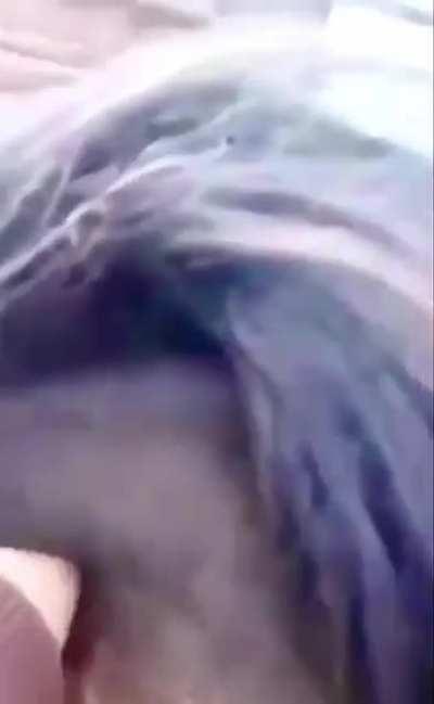 There is a gaping hole in this horse's neck, and the horse is fine.