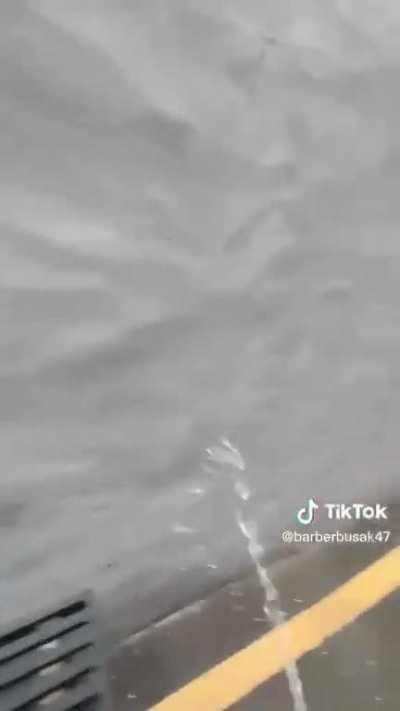 POV: a backstreets rat messing with Mephistopheles