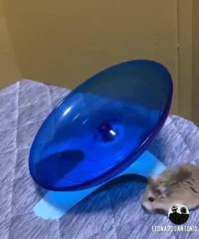 better harder faster stronger