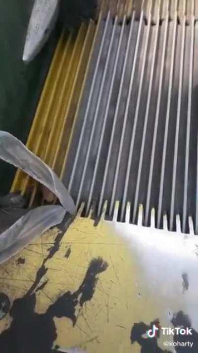 The eye of the roach 🎵🎼