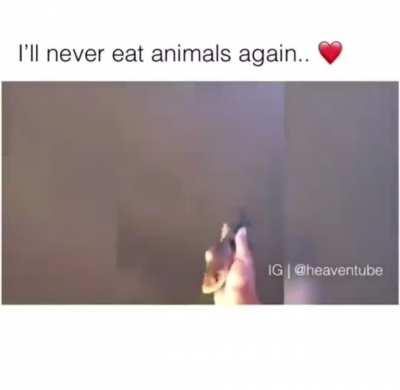 And like that, eating meat is no more!