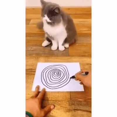 Spiraling Hypnosis 🌀