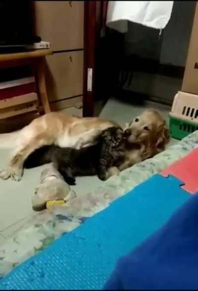 Little spoon please. Thank you