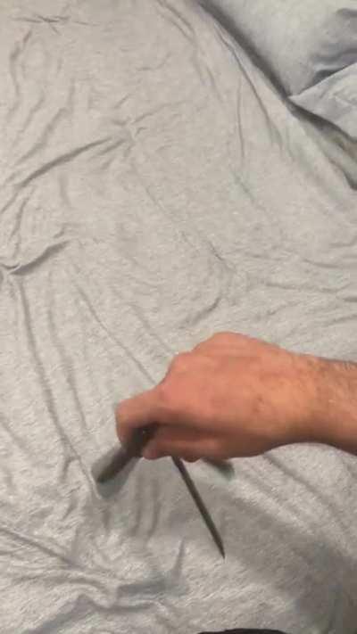 🌊🌊tsunami🌊🌊