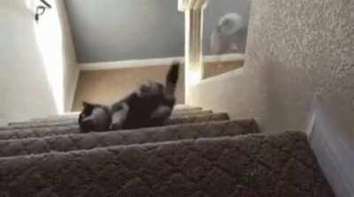 PuPpEr gEtS fUcKiNg ReCkt