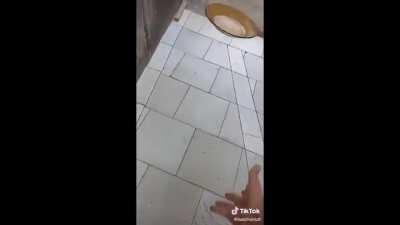 o ''prato indestrutível''