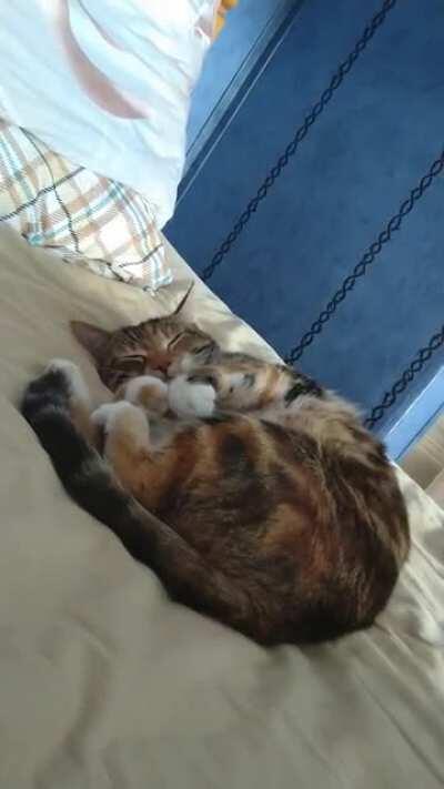 What spending the morning in bed feels like