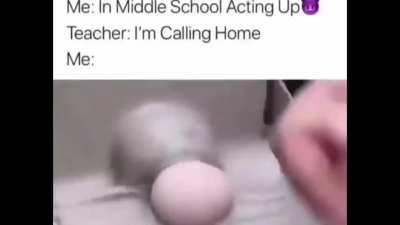 middle school acting up 🥚