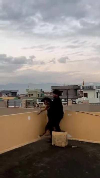 Step Neigbours caught in action, had to be intervened to deescalate situation