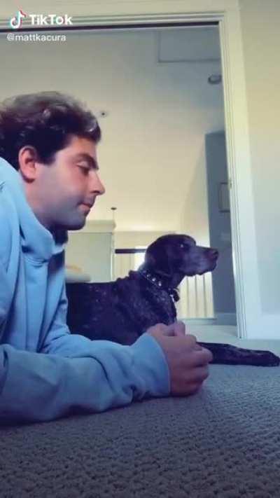 This dude trained his dog to move on the beat