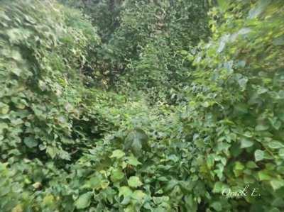 “That was a big hit bruv, you good?” (Featuring new watermark, again)