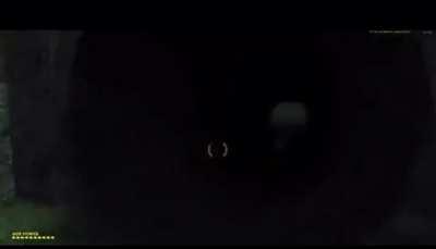 There goes my hero, watch him as he goes