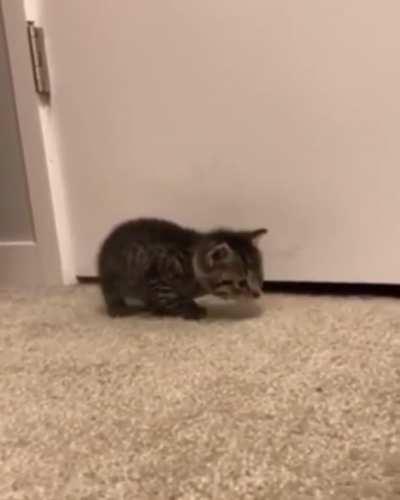 The littlest attack