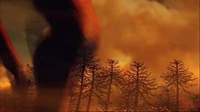Interesting Fan theory/idea: is it possible that the Waves of the calamity have been on earth? Like they’re the reason for the major extinctions in the prehistoric past. I.e. the dinosaurs.
