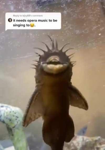 Немного оперы