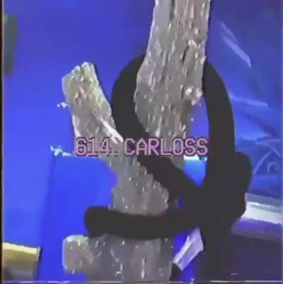 Anyone know this songs name?