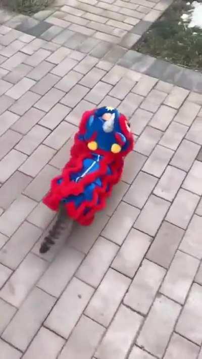 Happy Lunar New Year